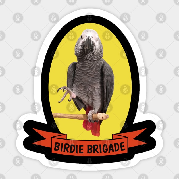 Birdie Brigade Congo African Grey Parrot Sticker by Einstein Parrot